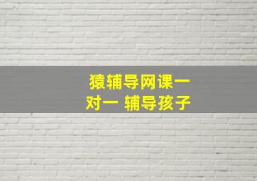 猿辅导网课一对一 辅导孩子